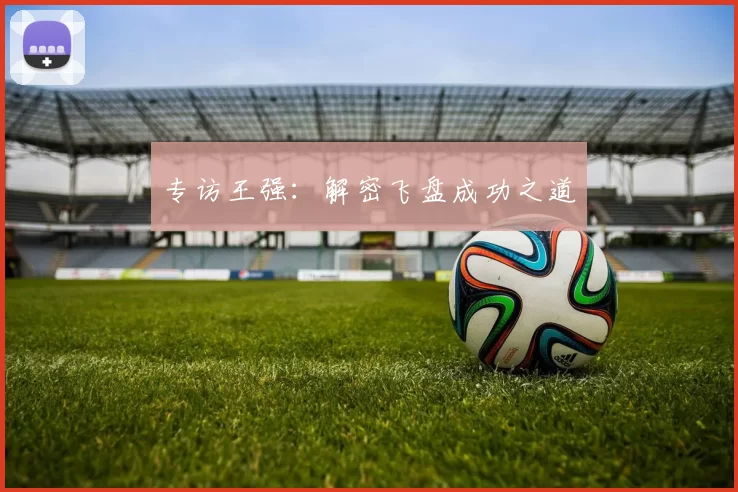 专访王强：解密飞盘成功之道