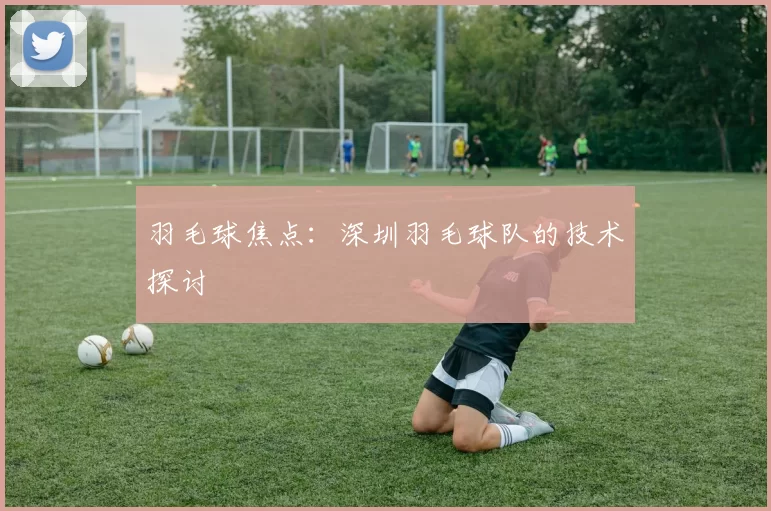 羽毛球焦点：深圳羽毛球队的技术探讨