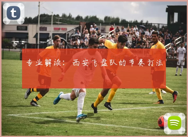 专业解读：西安飞盘队的节奏打法