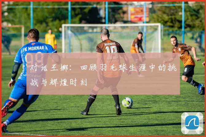 对话王娜：回顾羽毛球生涯中的挑战与辉煌时刻