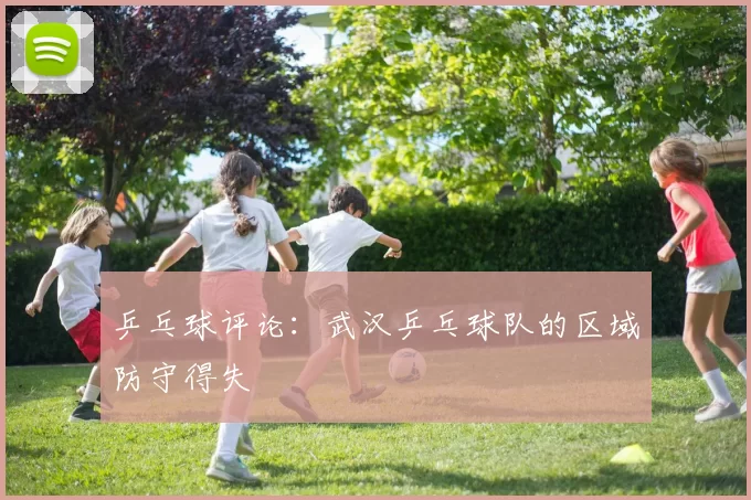 乒乓球评论：武汉乒乓球队的区域防守得失