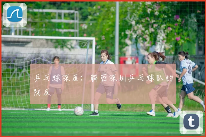 乒乓球深度：解密深圳乒乓球队的防反
