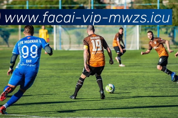 爱游戏体育平台生态图