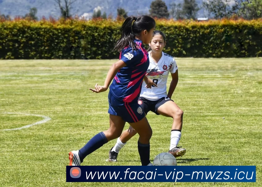 爱游戏体育全站App